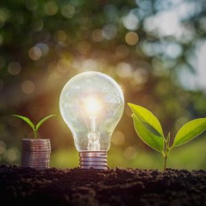 vecteezy_energy-saving-light-bulb-and-tree-growing-on-stacks-of-coins-on-nature-background_1235675-b